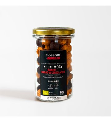 ORGANIC Energy Balls Mango&Chocolate