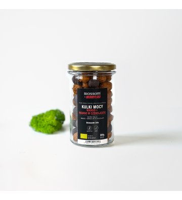 ORGANIC Energy Balls Mango&Chocolate