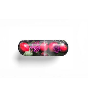 BIO Urban Herbs IMMUNITY, 60 Capsules