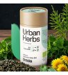 BIO Urban Herbs DETOKS, kapsułki 60 szt.