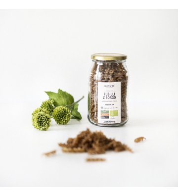 Makaron z sorgo BIO