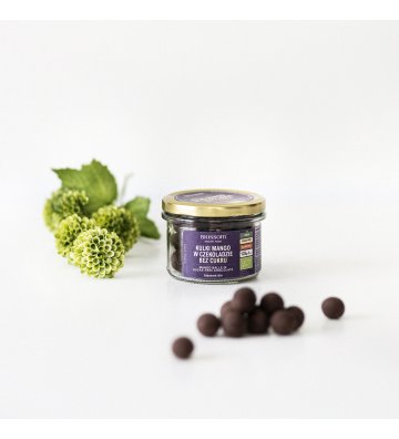 ORGANIC Mango Balls in SUGAR-FREE Chocolate
