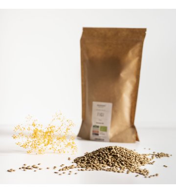 ORGANIC Green lentils