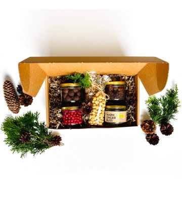 copy of Gift - Christmas Joy