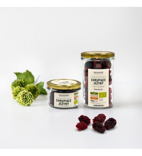 ORGANIC Crunchy Blackberries – Polish Freeze-Dried Blackberries