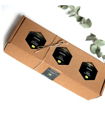 Bombonierka BIO Chocolate Trio – mango, daktyle i migdały w czekoladzie